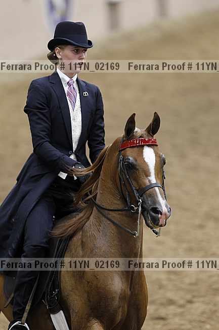 Proof 11yn_02169