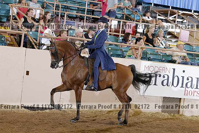 Proof 11yn_02172
