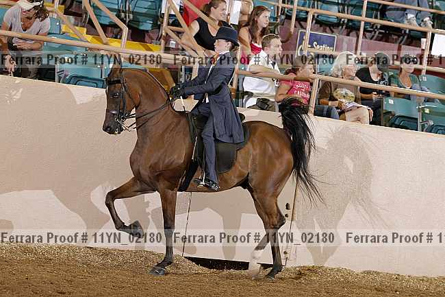 Proof 11yn_02180