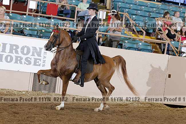 Proof 11yn_02182