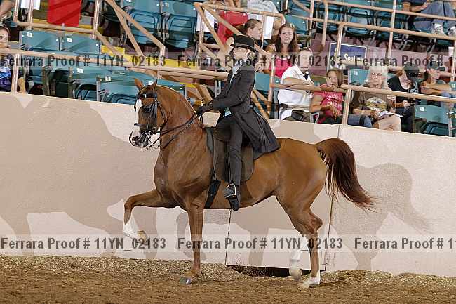 Proof 11yn_02183