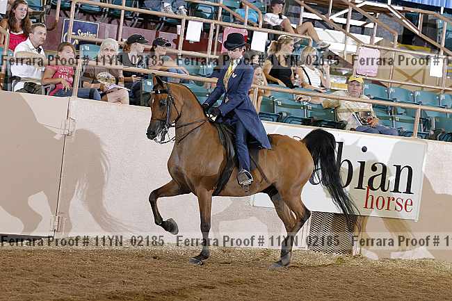 Proof 11yn_02185