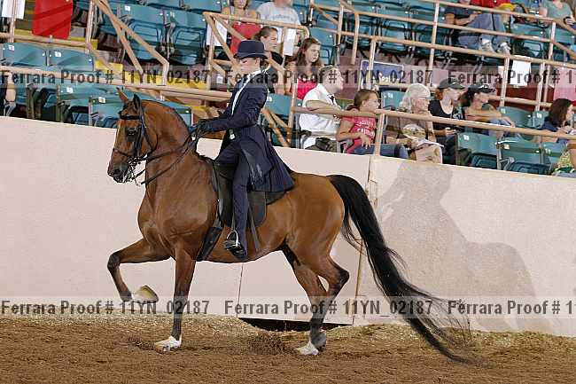 Proof 11yn_02187