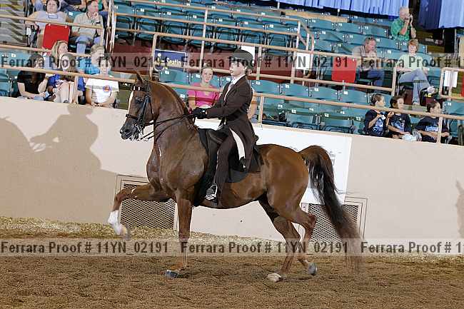 Proof 11yn_02191