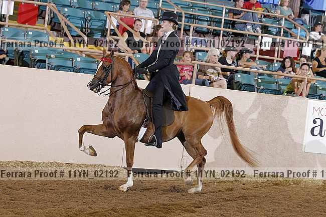 Proof 11yn_02192