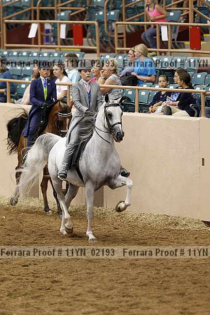 Proof 11yn_02193