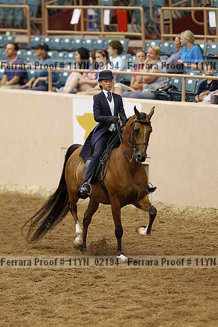 Proof 11yn_02194