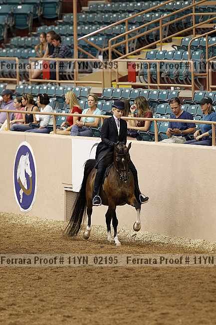 Proof 11yn_02195