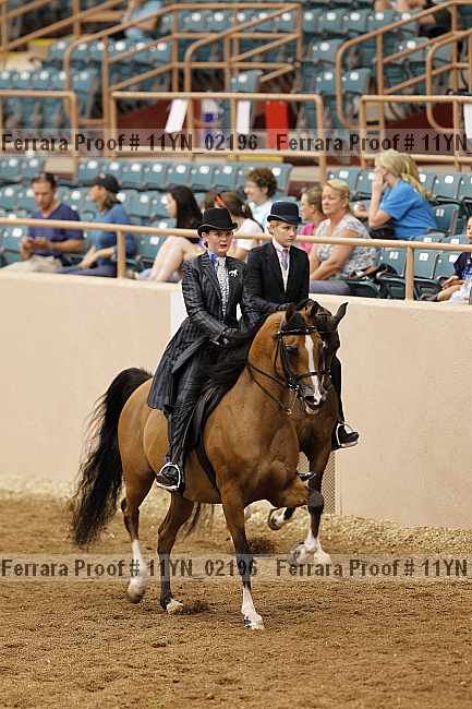 Proof 11yn_02196
