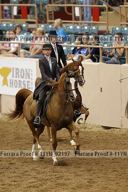 Proof 11yn_02197