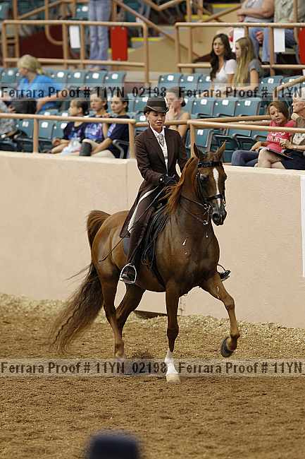 Proof 11yn_02198