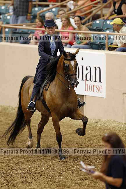 Proof 11yn_02199