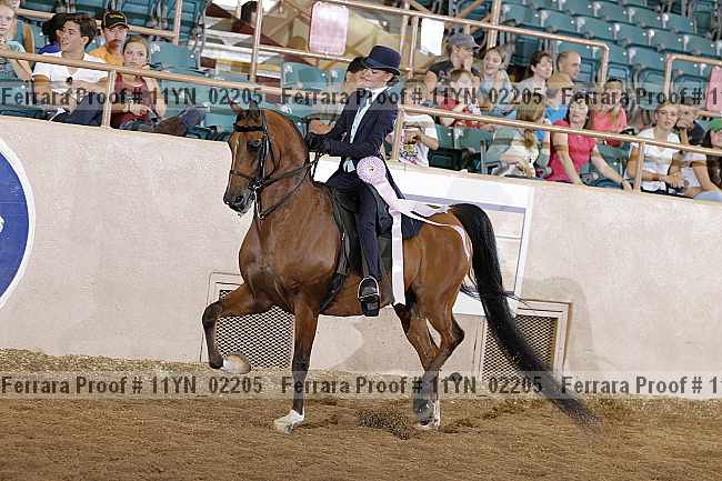 Proof 11yn_02205