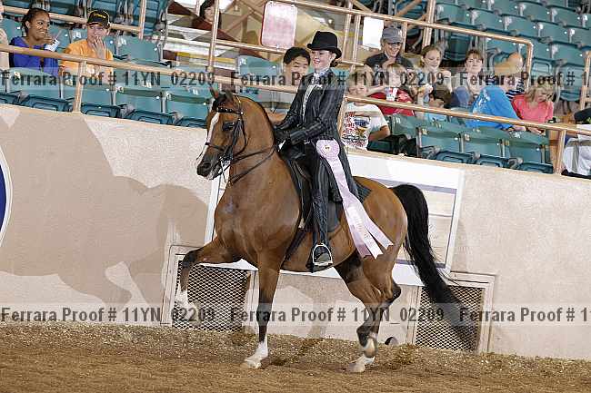 Proof 11yn_02209
