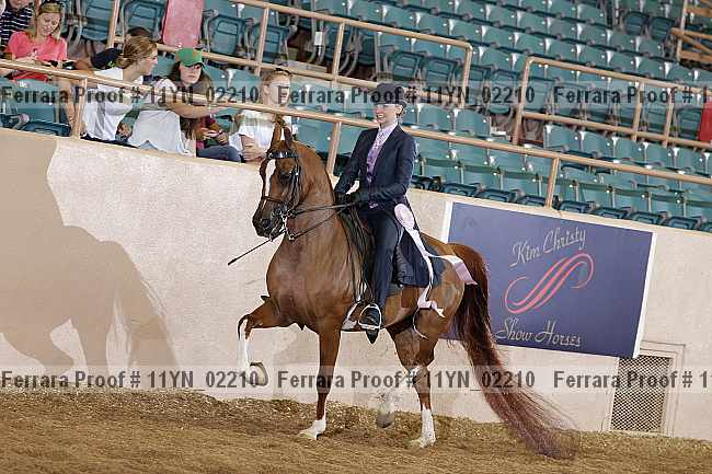 Proof 11yn_02210