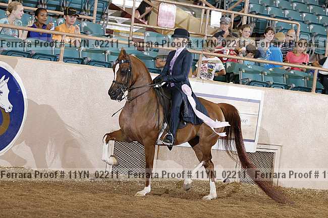 Proof 11yn_02211
