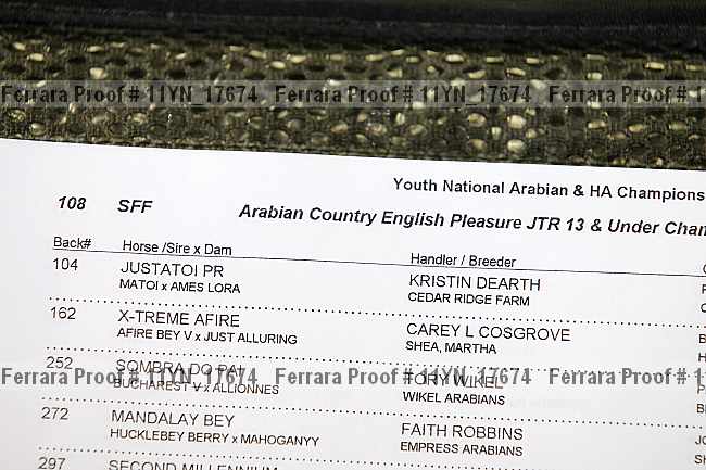 Proof 11yn_17674