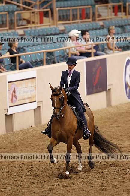Proof 11yn_17707