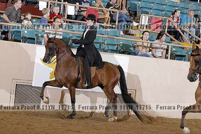Proof 11yn_17715