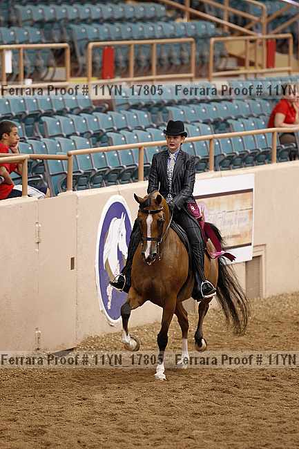 Proof 11yn_17805