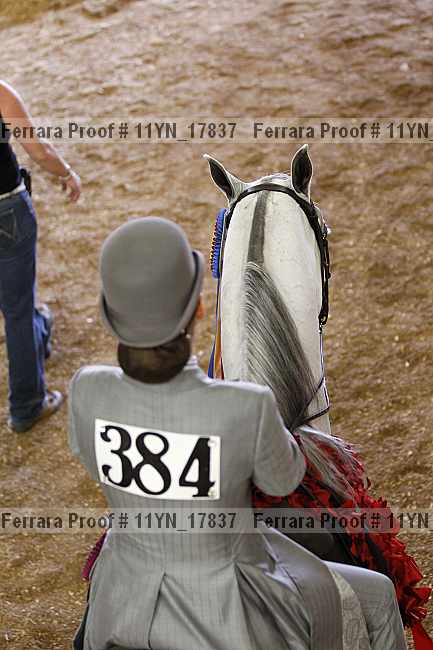 Proof 11yn_17837