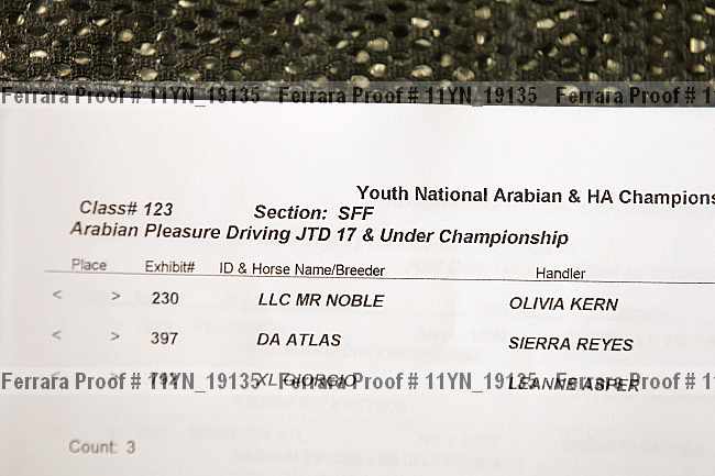 Proof 11yn_19135