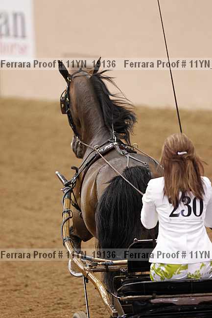 Proof 11yn_19136