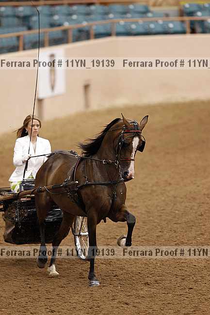 Proof 11yn_19139