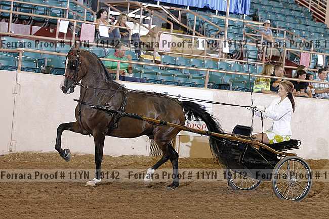 Proof 11yn_19142