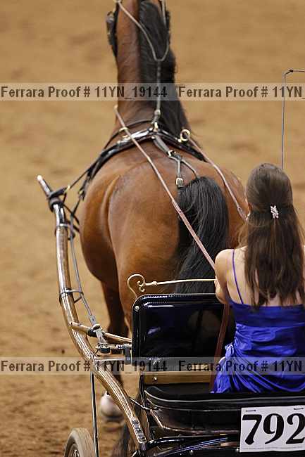 Proof 11yn_19144
