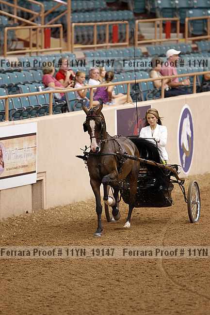 Proof 11yn_19147