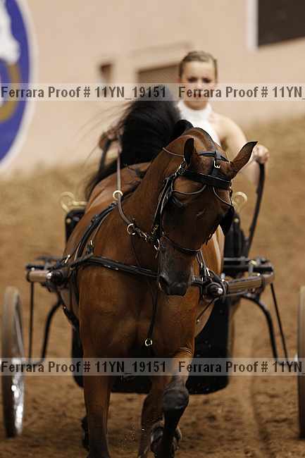 Proof 11yn_19151
