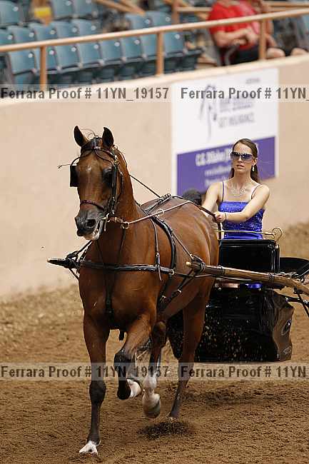Proof 11yn_19157