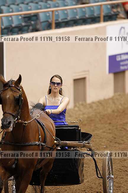 Proof 11yn_19158