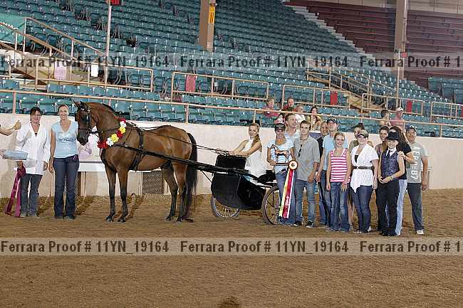 Proof 11yn_19164