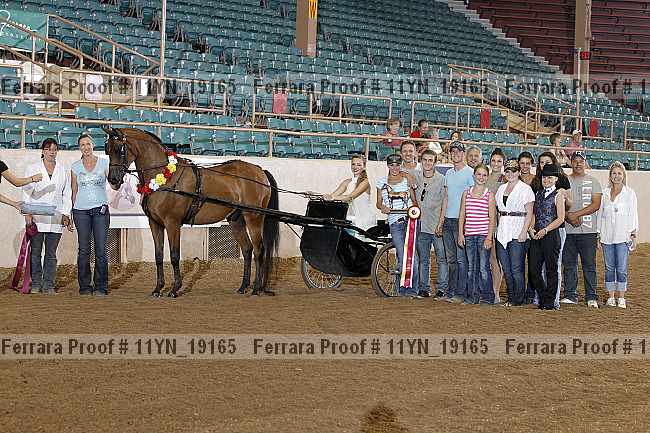 Proof 11yn_19165