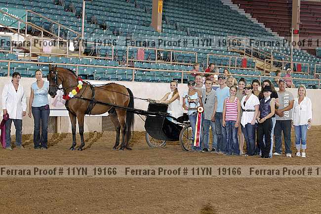 Proof 11yn_19166