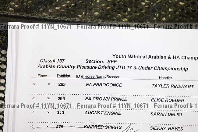 Proof 11yn_10671