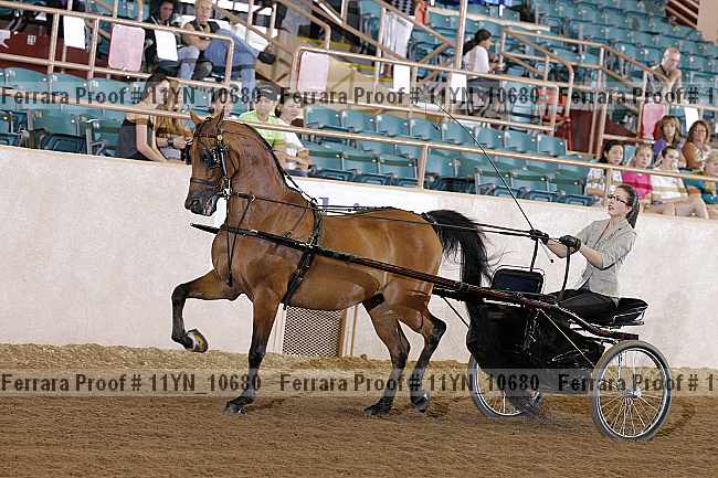 Proof 11yn_10680