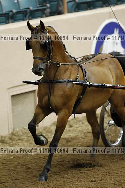 Proof 11yn_10694