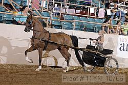 11yn_10706 proof