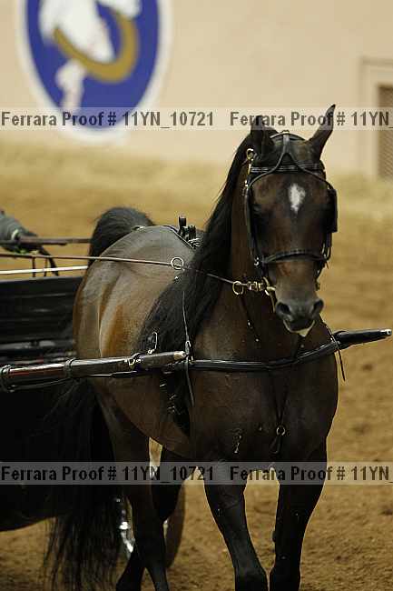 Proof 11yn_10721