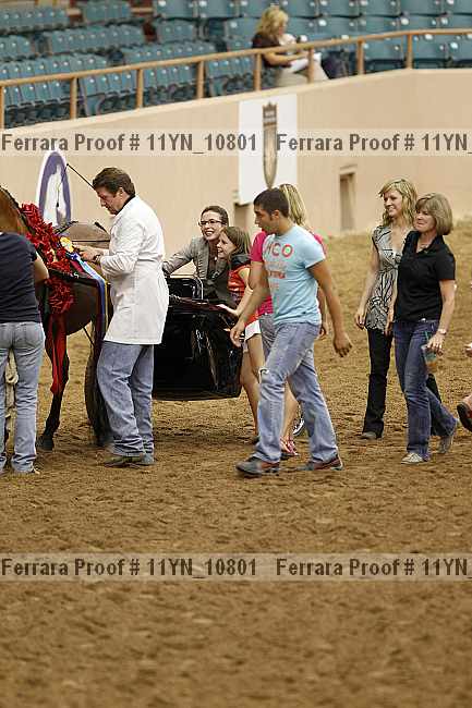 Proof 11yn_10801