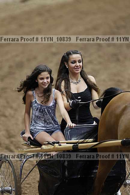Proof 11yn_10839