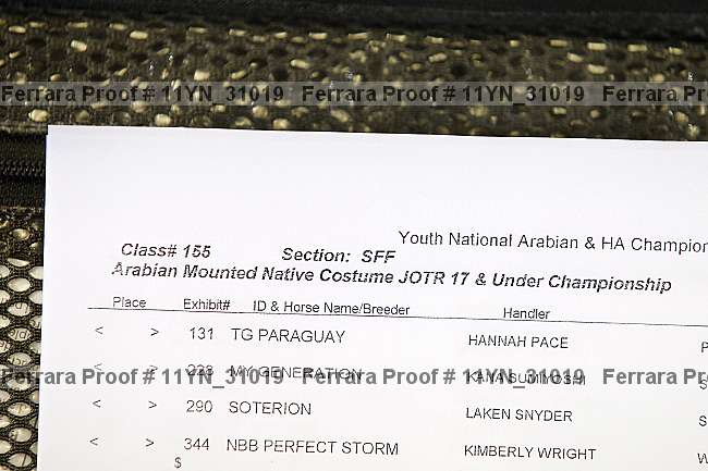 Proof 11yn_31019