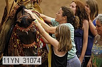 11yn_31074 proof