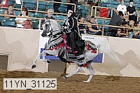 11yn_31125 proof