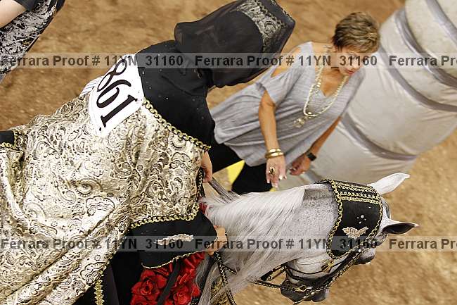 Proof 11yn_31160
