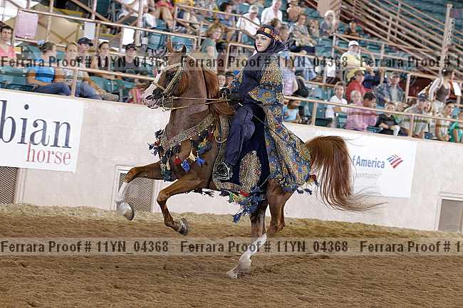 Proof 11yn_04368