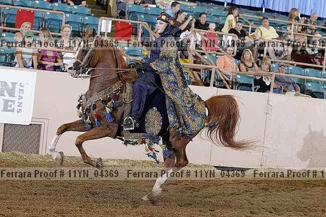 Proof 11yn_04369